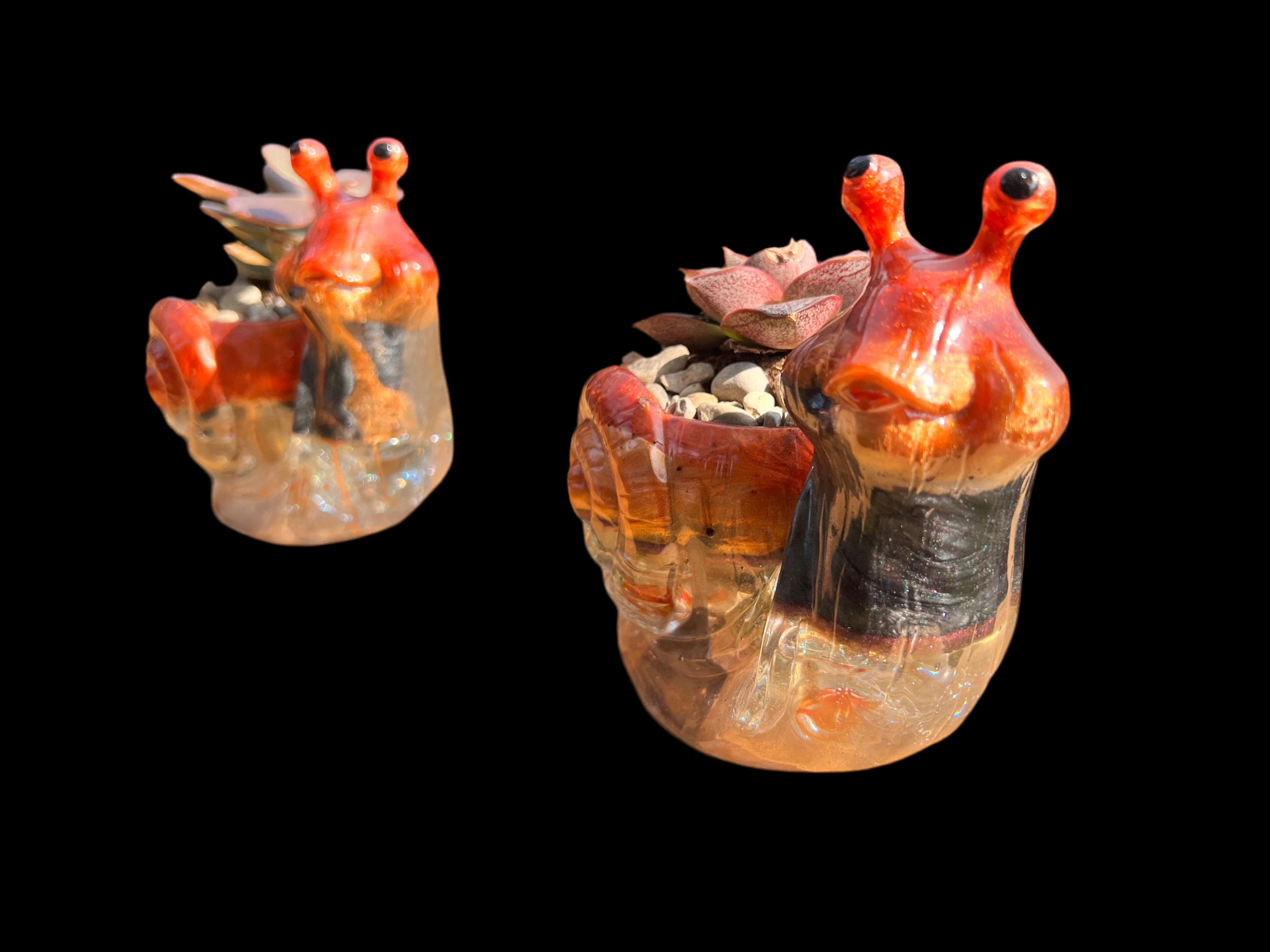 A beautiful resin Snail succulent pot