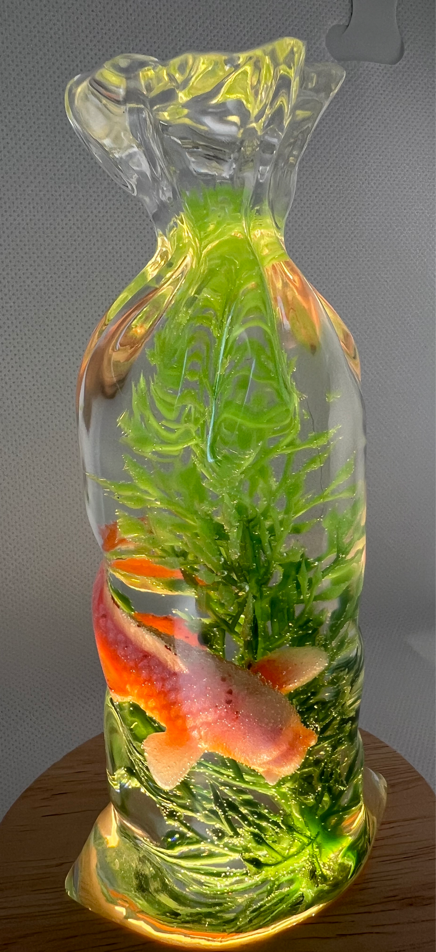 Fish in a bag resin night light