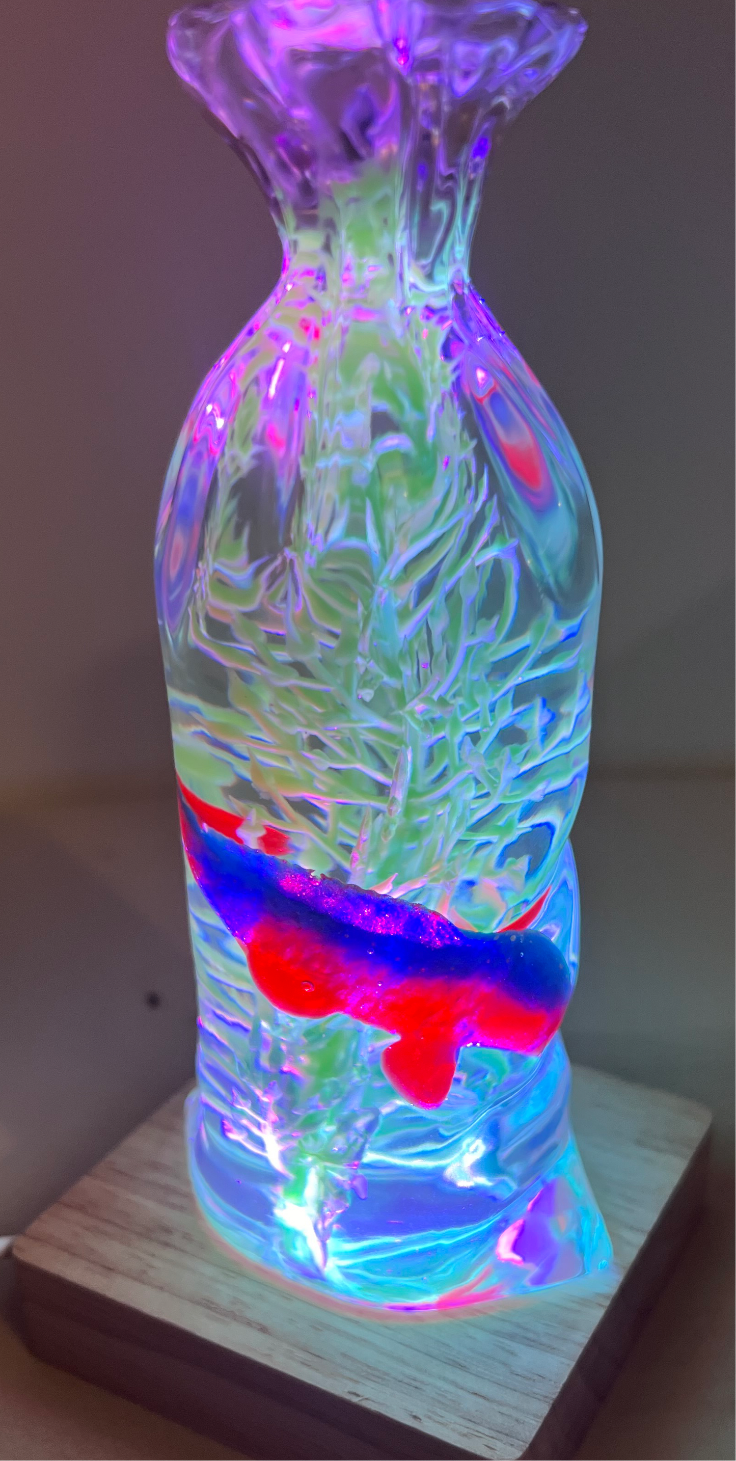 Fish in a bag resin night light