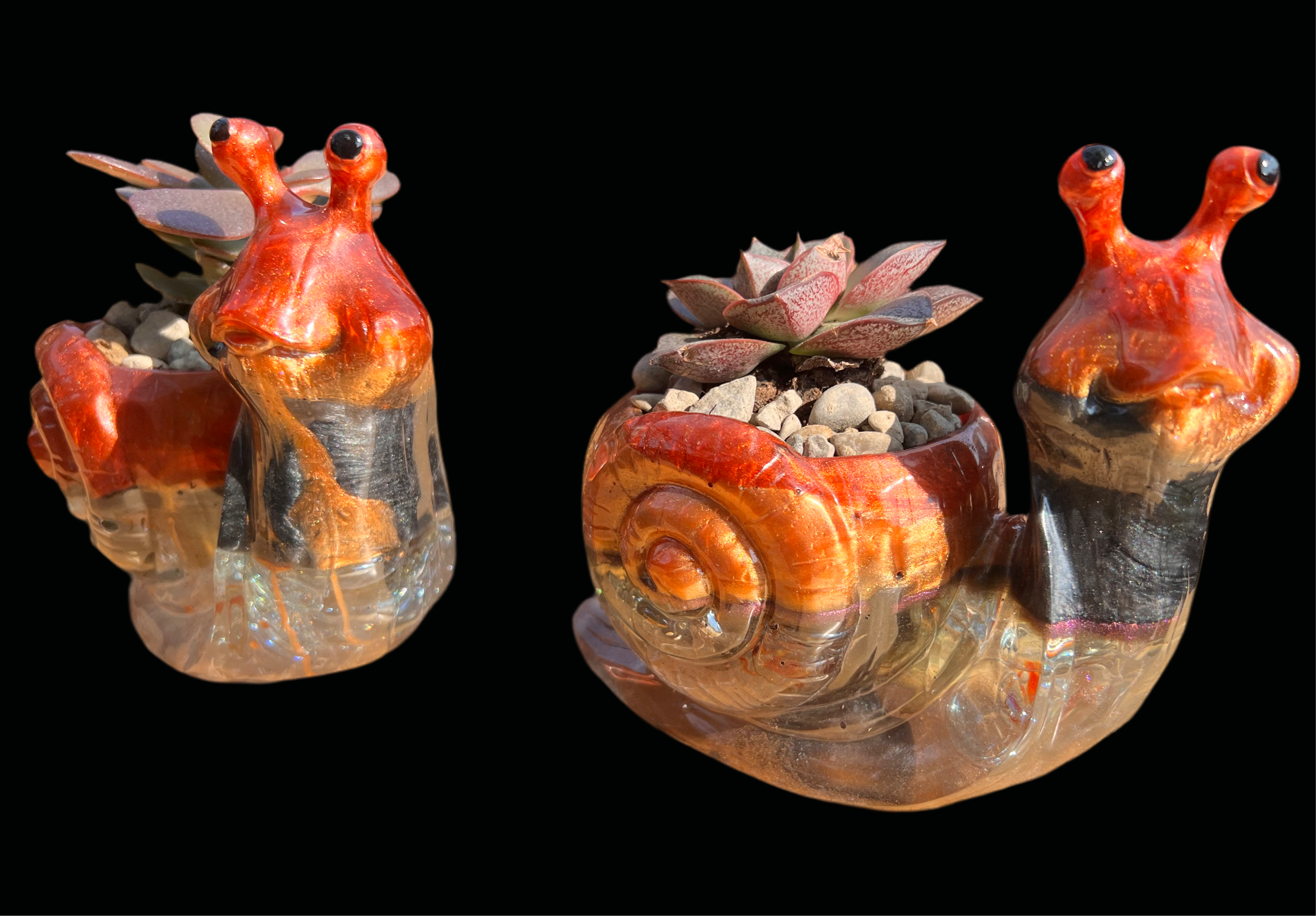 A beautiful resin Snail succulent pot