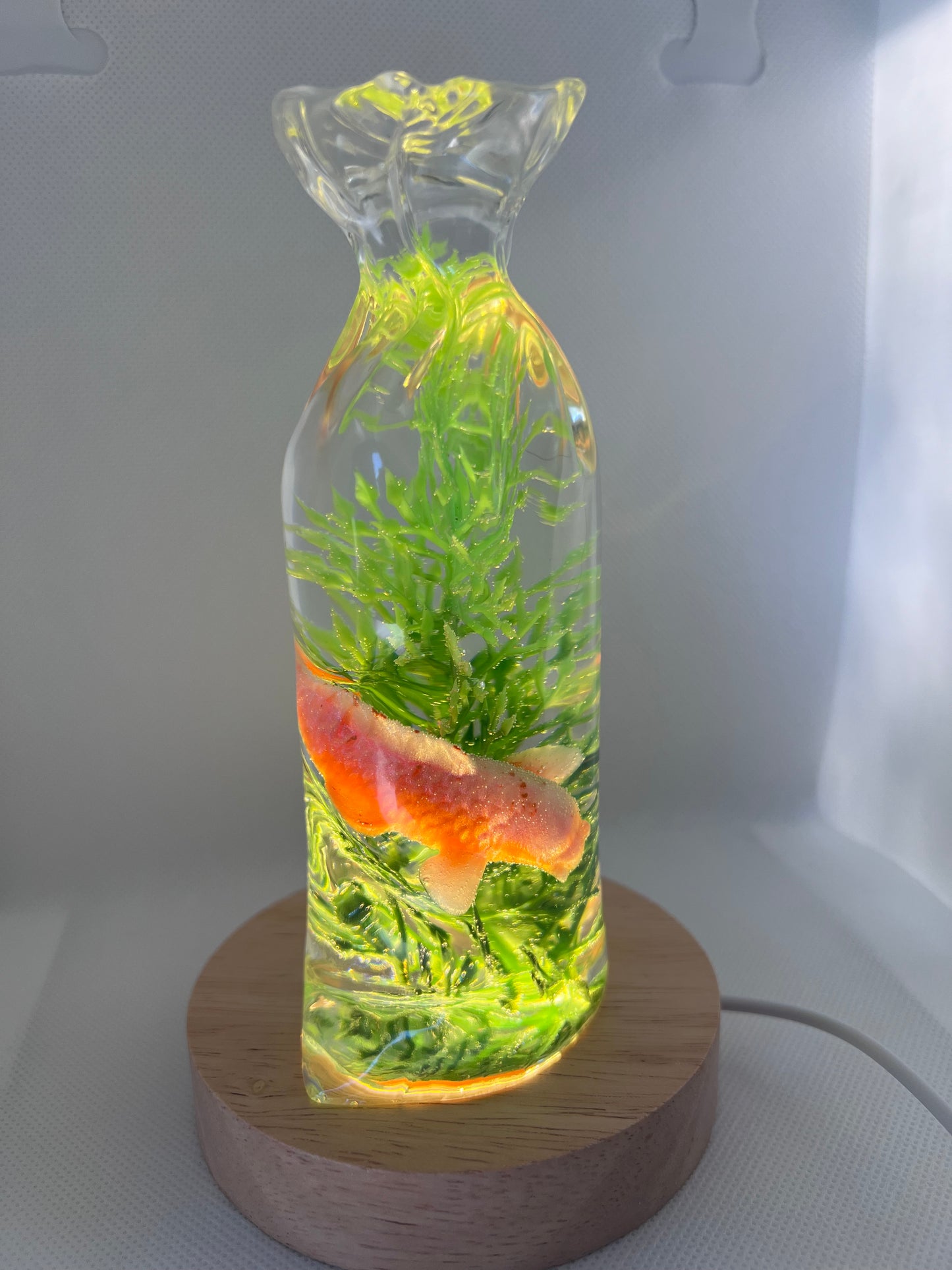 Fish in a bag resin night light