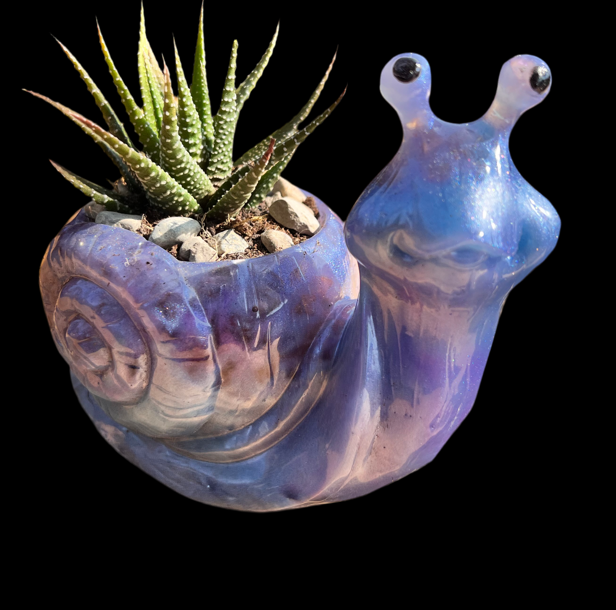 A beautiful resin Snail succulent pot
