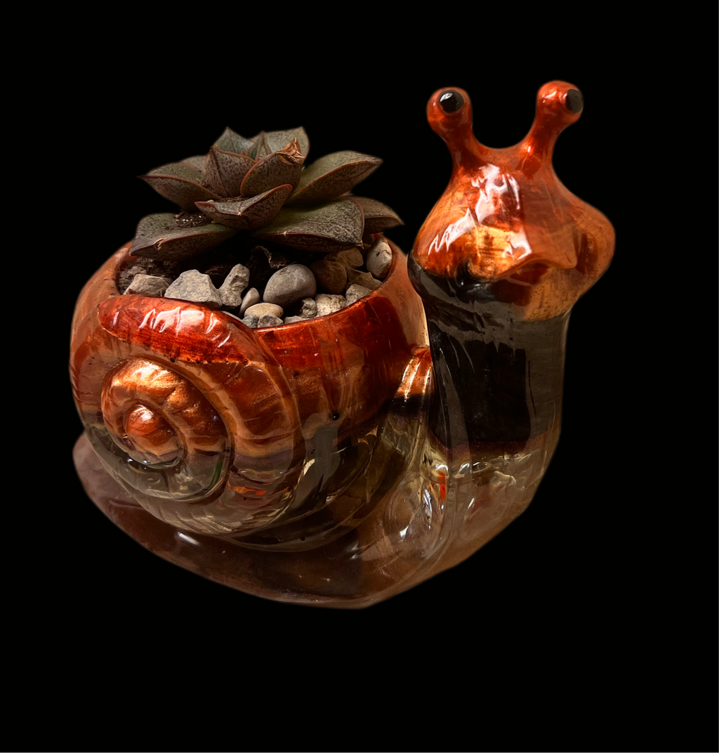 A beautiful resin Snail succulent pot