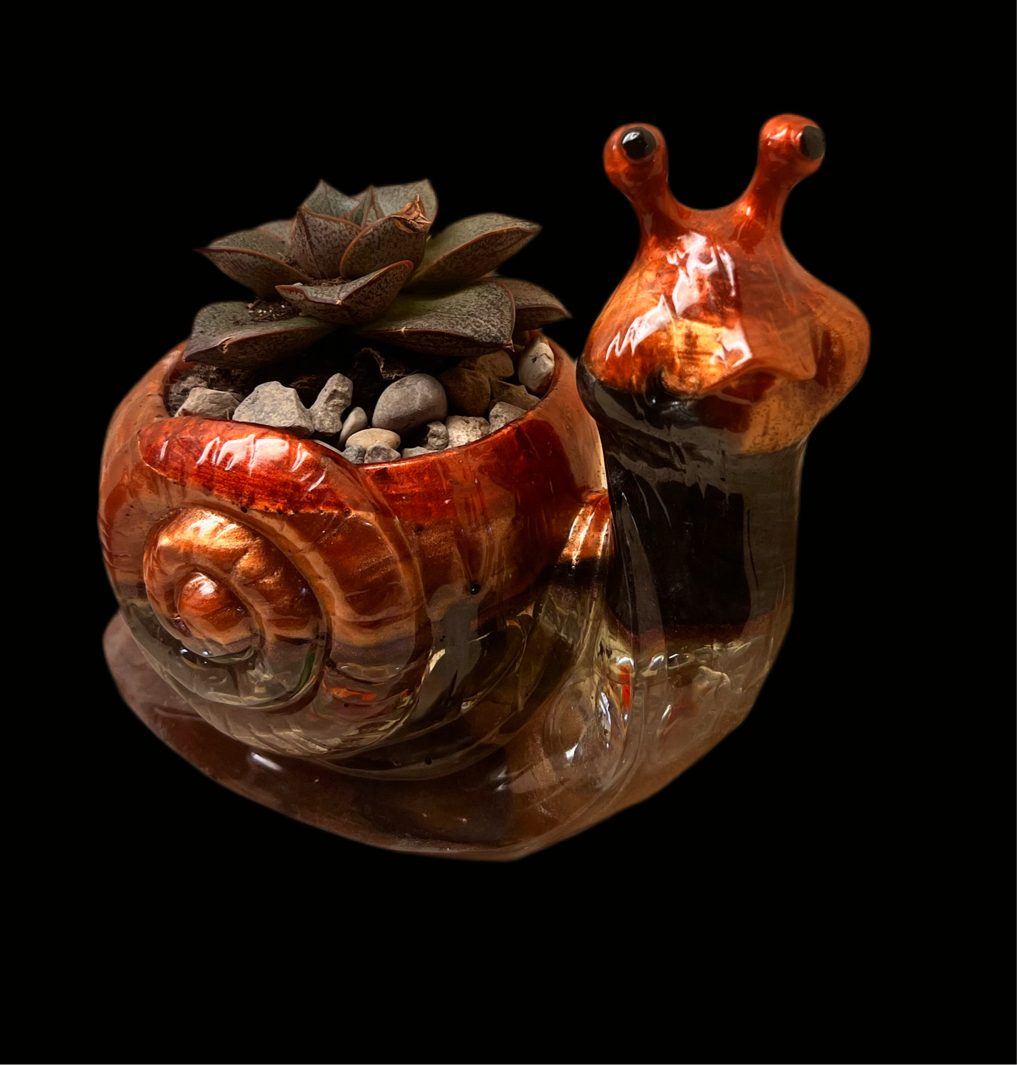 A beautiful resin Snail succulent pot