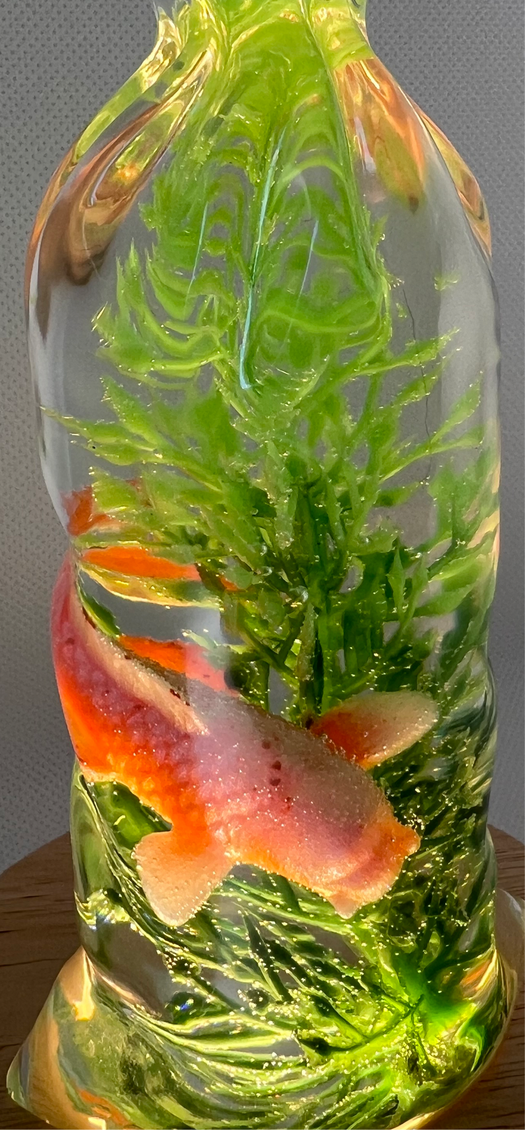 Fish in a bag resin night light