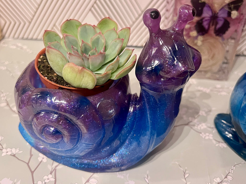 A beautiful resin Snail succulent pot