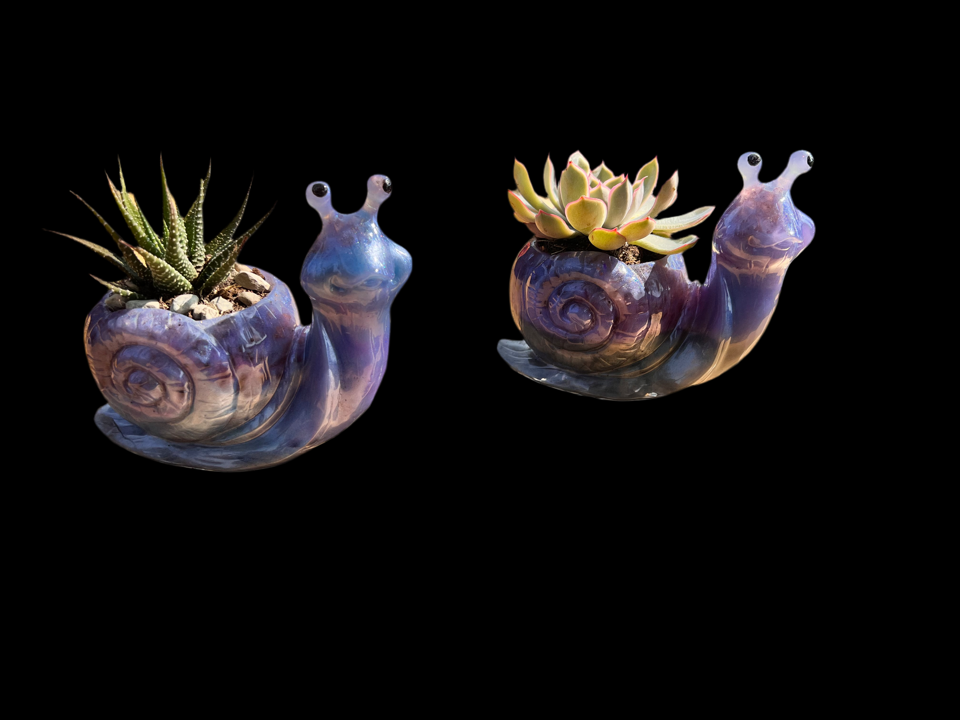 resin succulent pot A beautiful resin Snail succulent pot – Octopus Studios