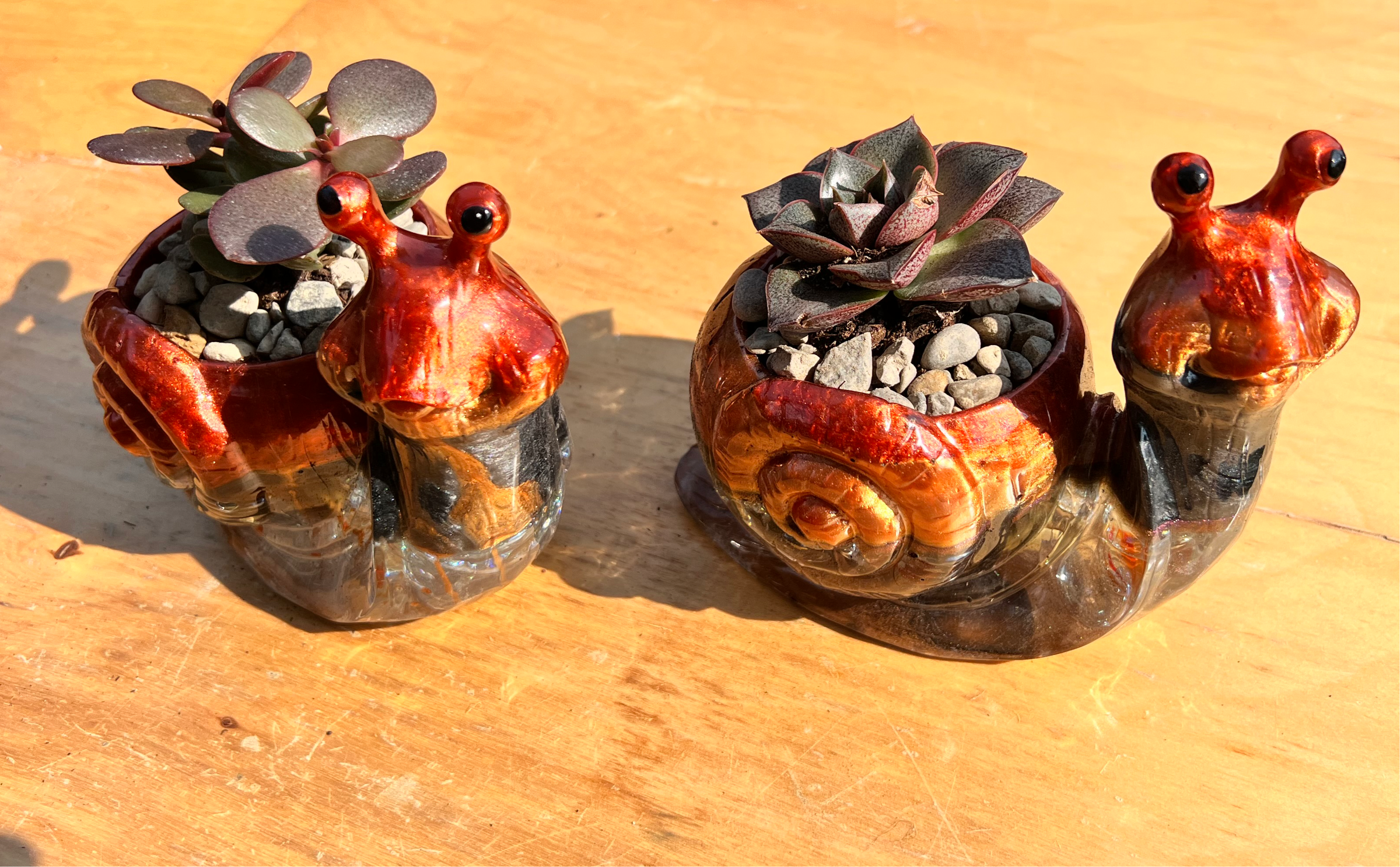 succulents in resin A beautiful resin Snail succulent pot – Octopus Studios