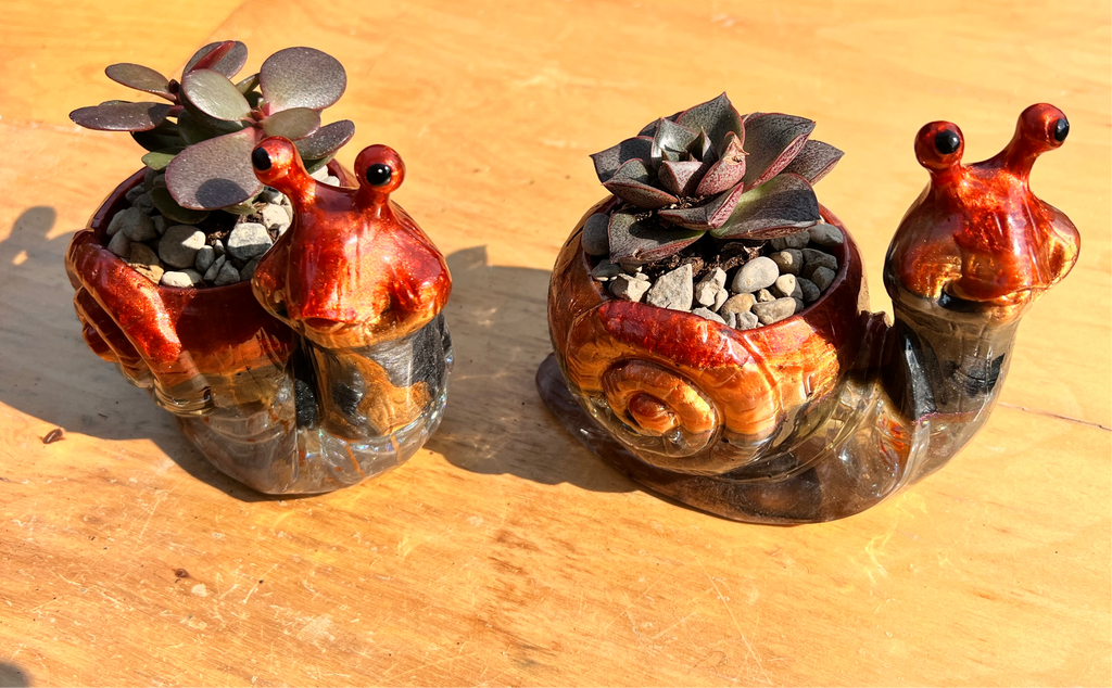 A beautiful resin Snail succulent pot