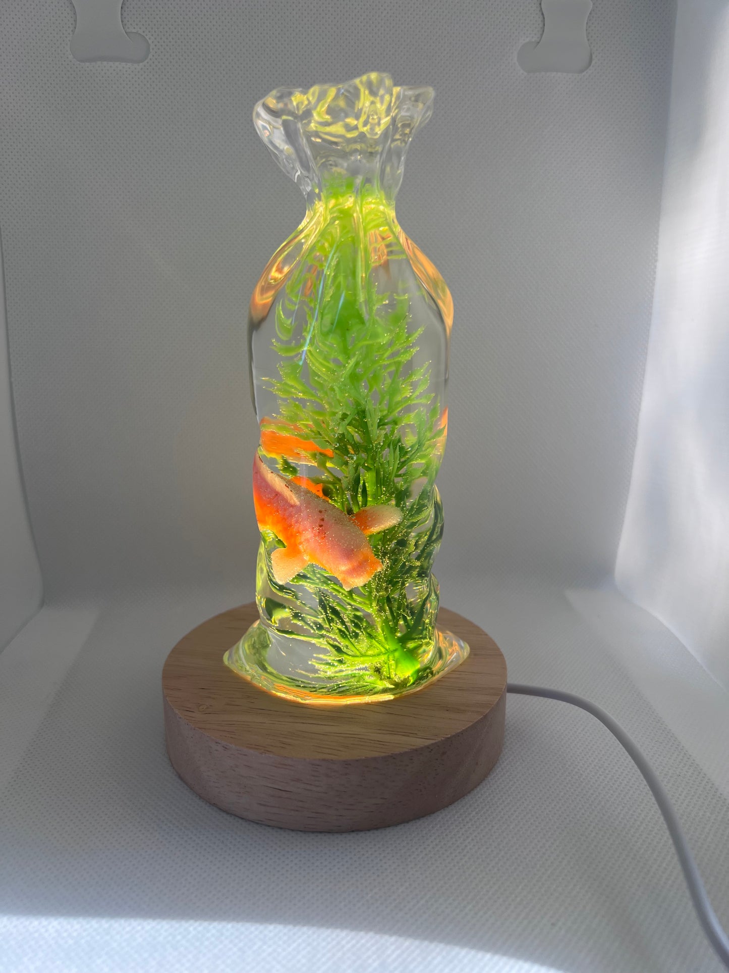 Fish in a bag resin night light