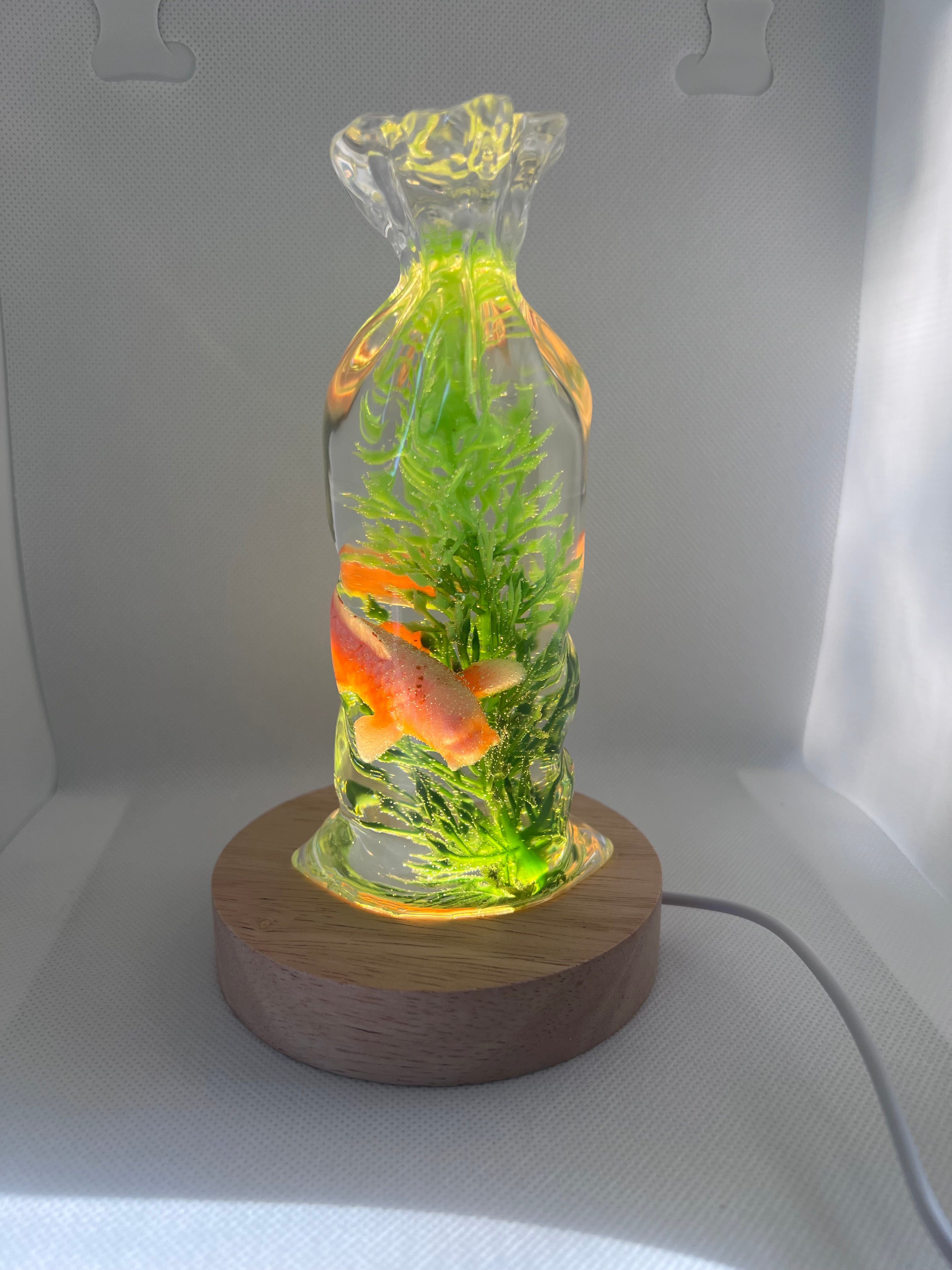 Fish in a bag resin night light