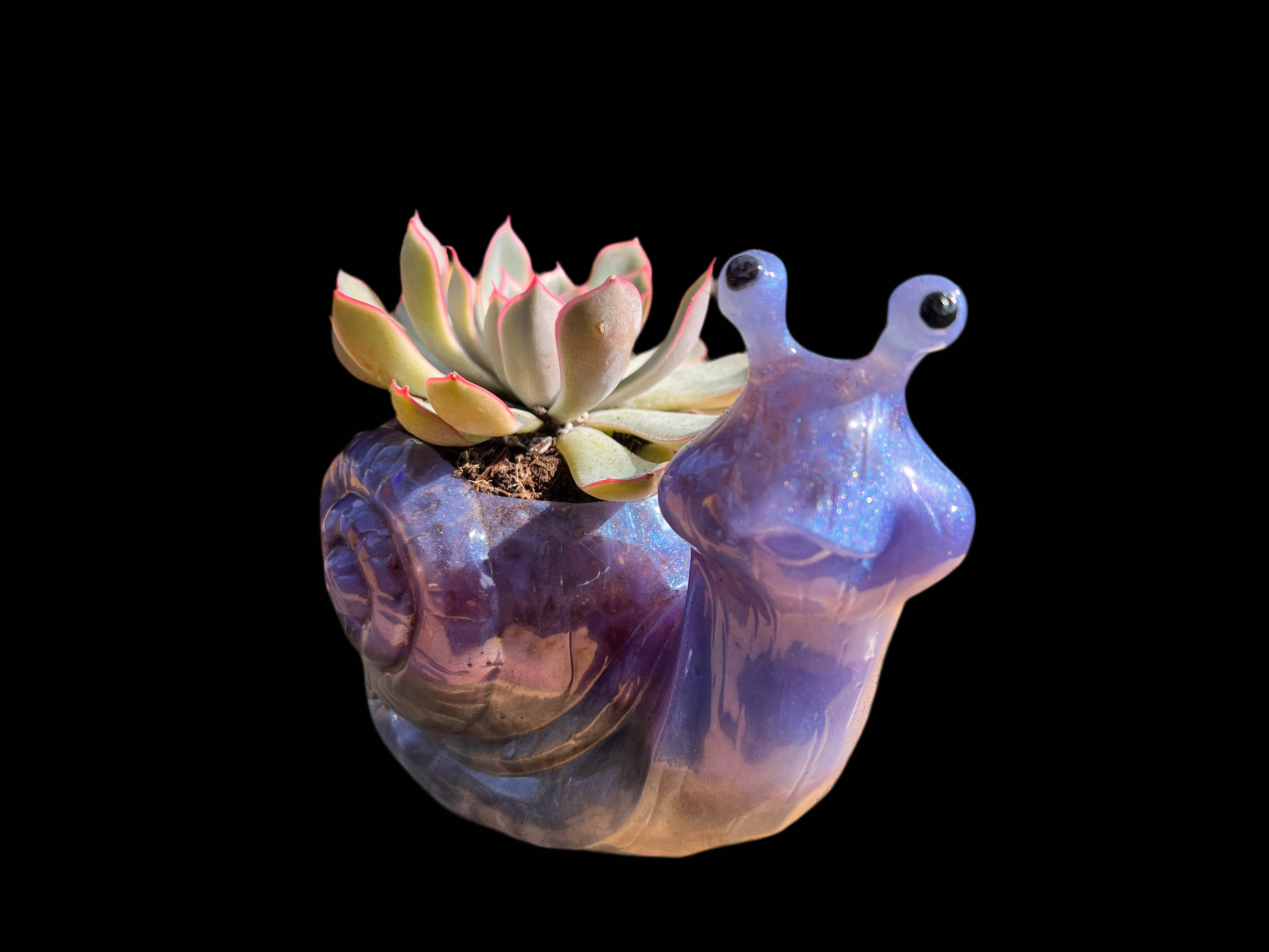 resin succulent pot A beautiful resin Snail succulent pot – Octopus Studios