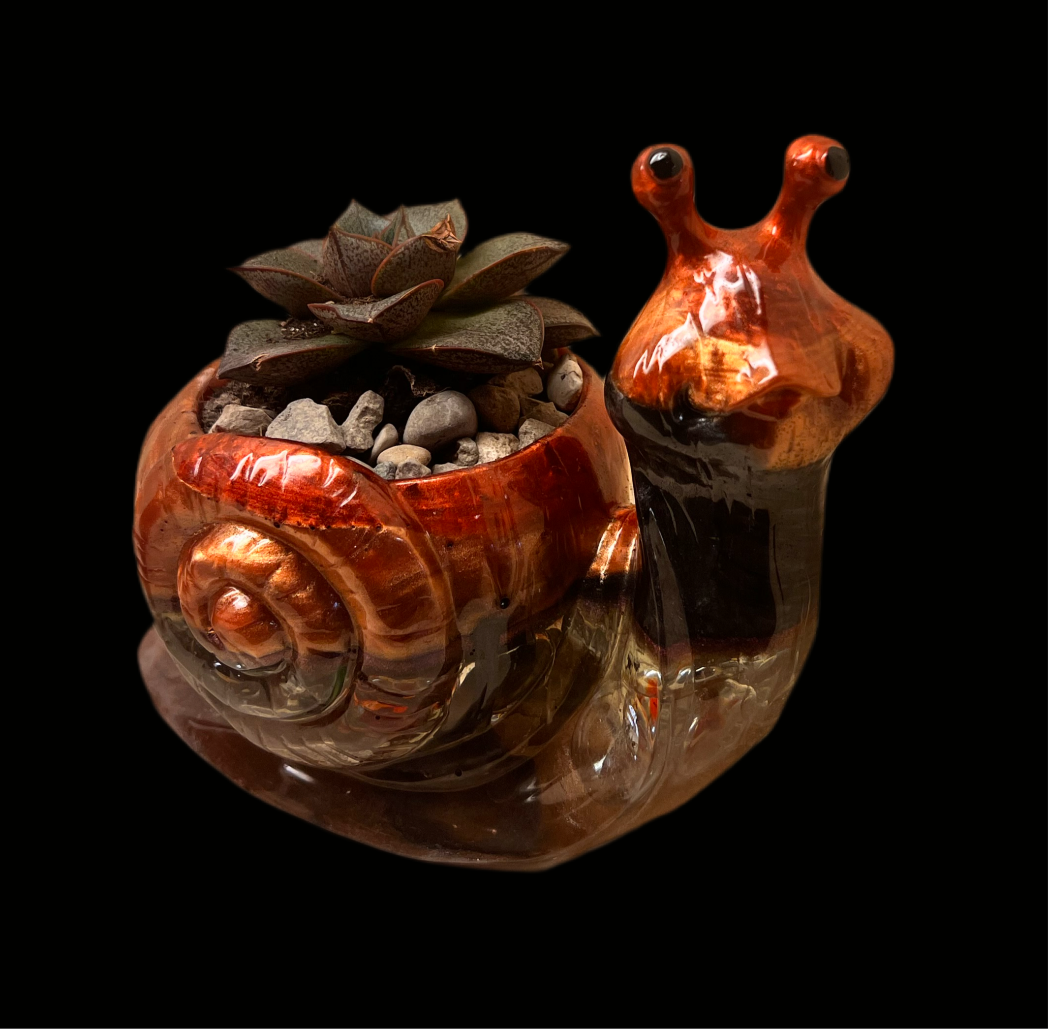 A beautiful resin Snail succulent pot