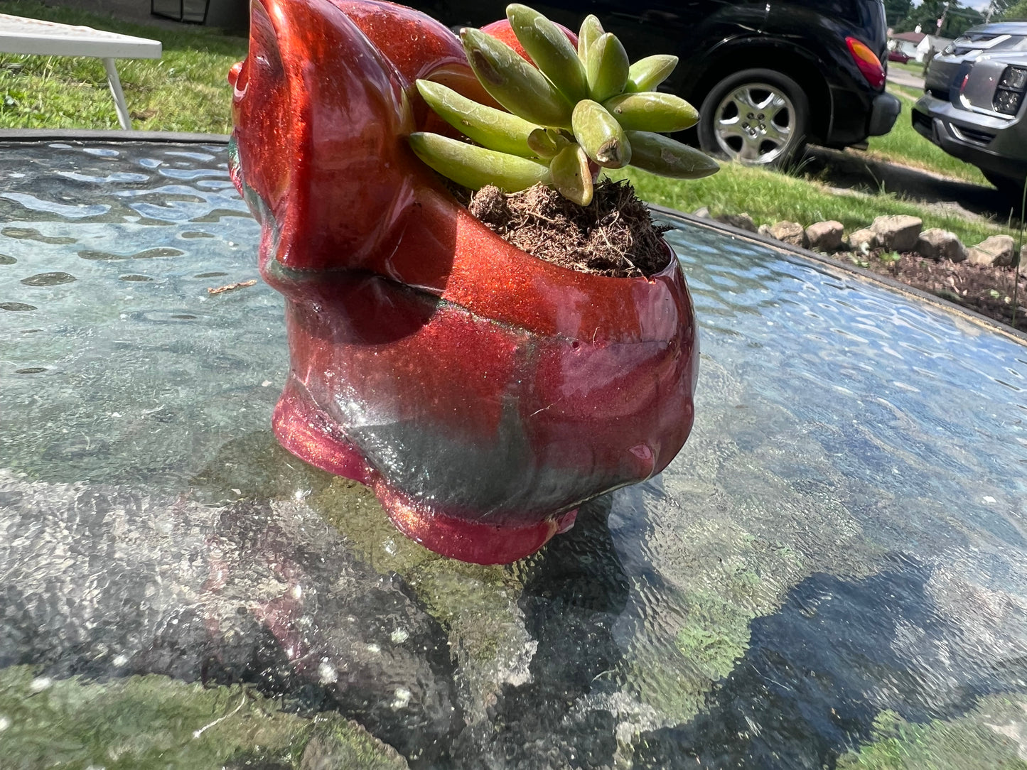 Cute Whimsy Elephant succulent pot