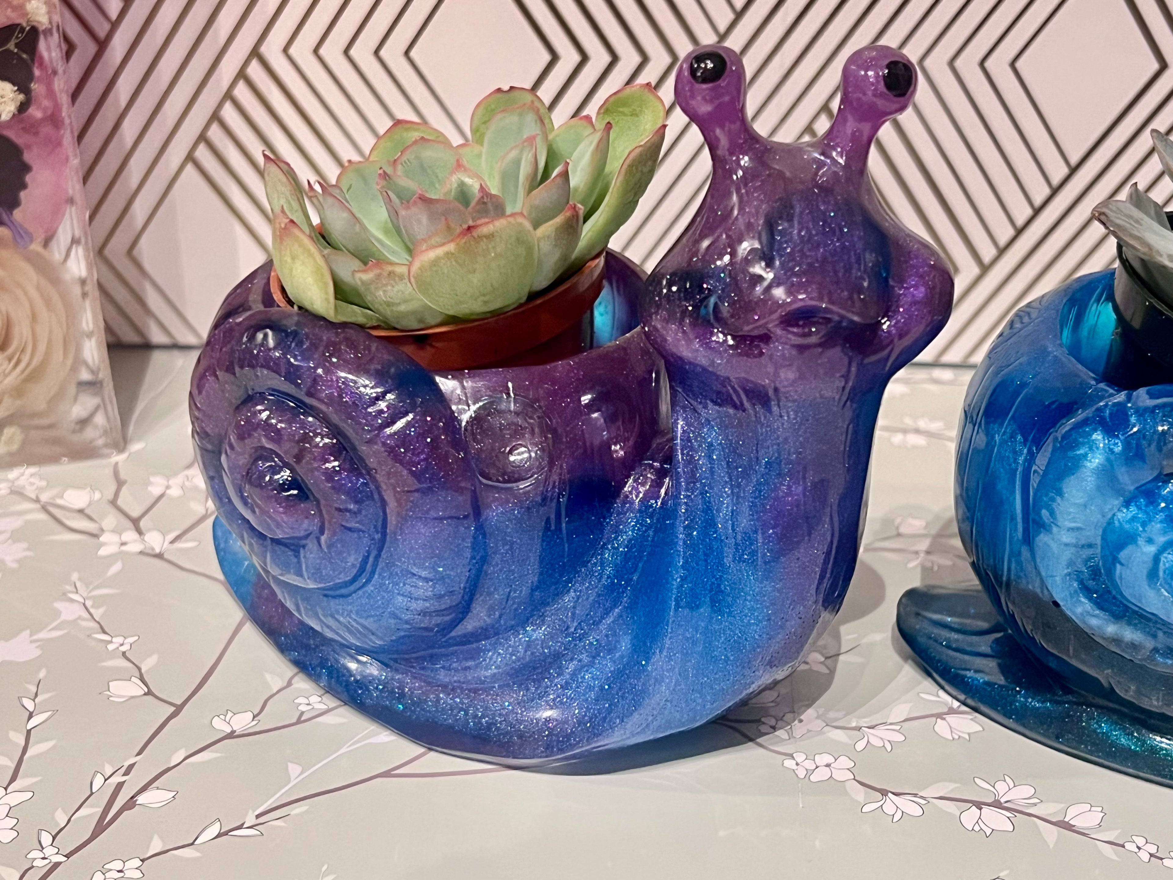 A beautiful resin Snail succulent pot