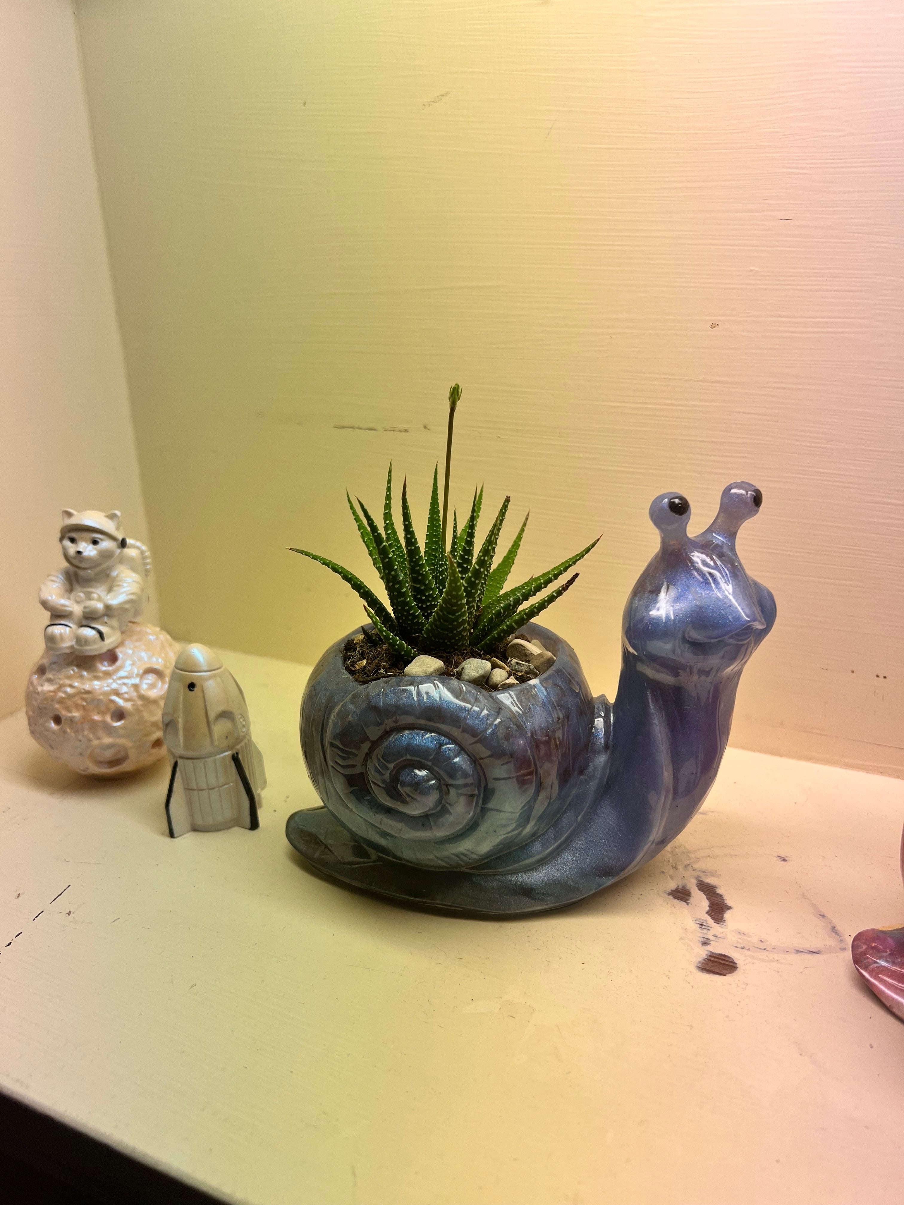 A beautiful resin Snail succulent pot