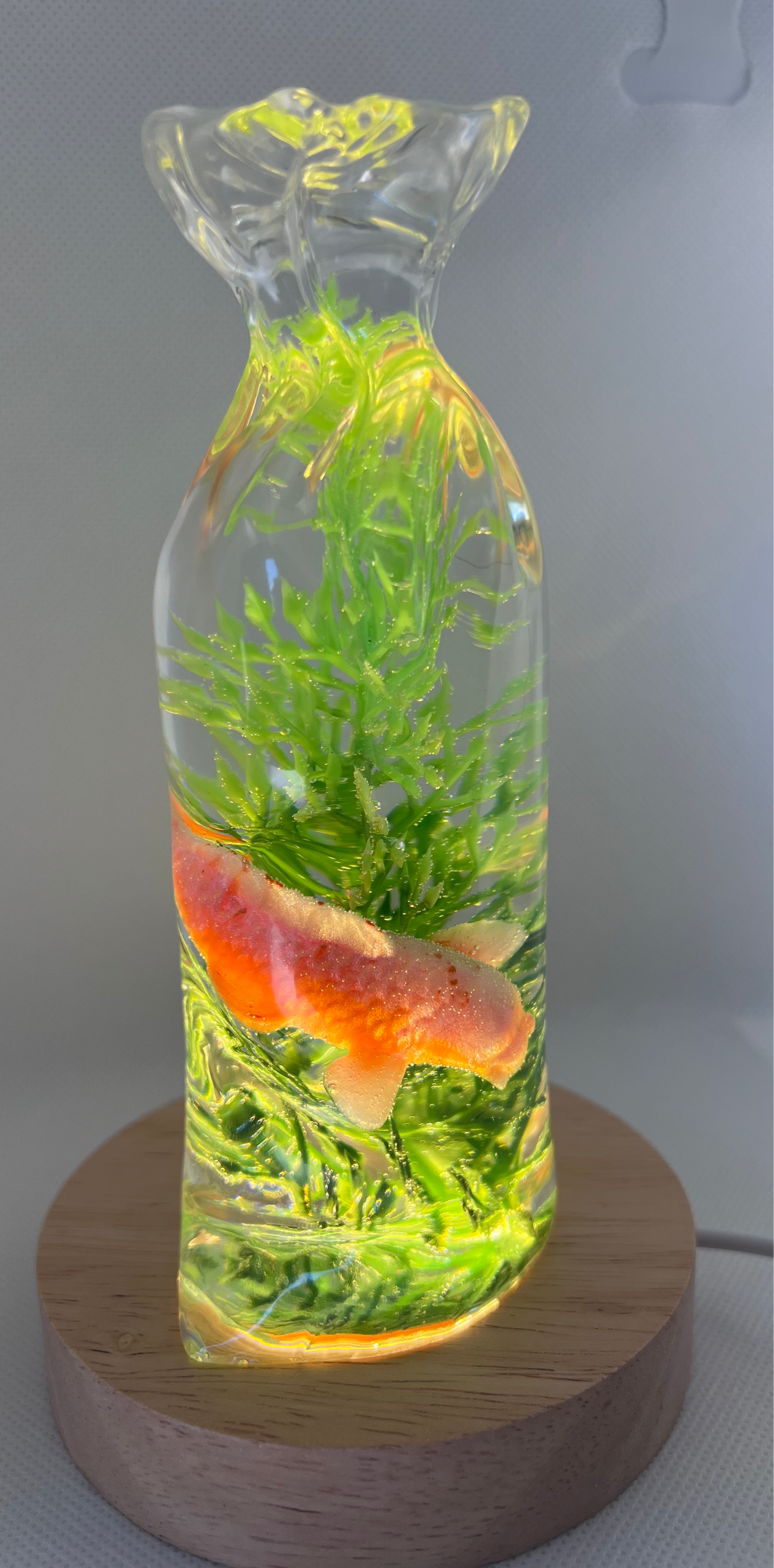 Fish in a bag resin night light