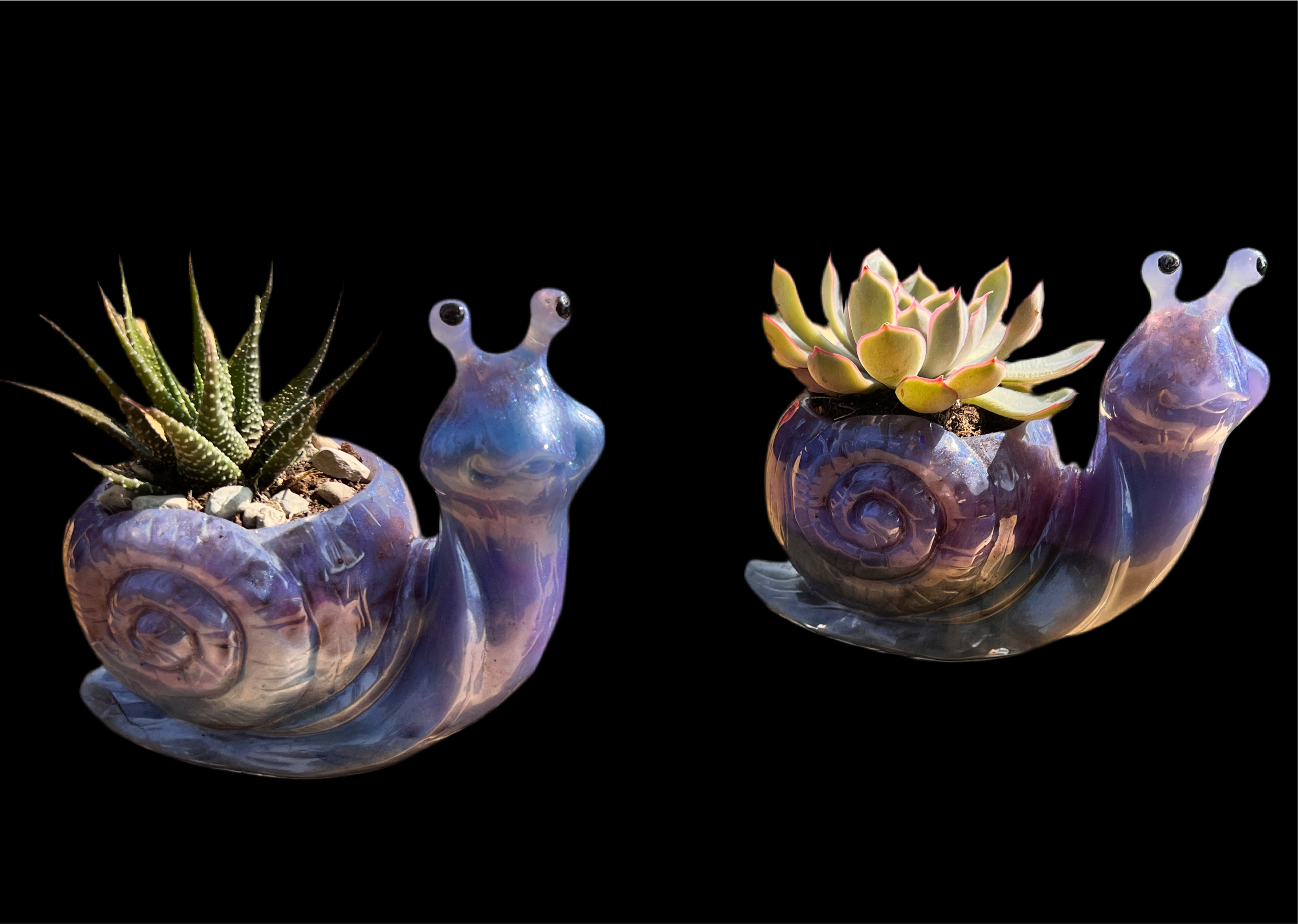 A beautiful resin Snail succulent pot