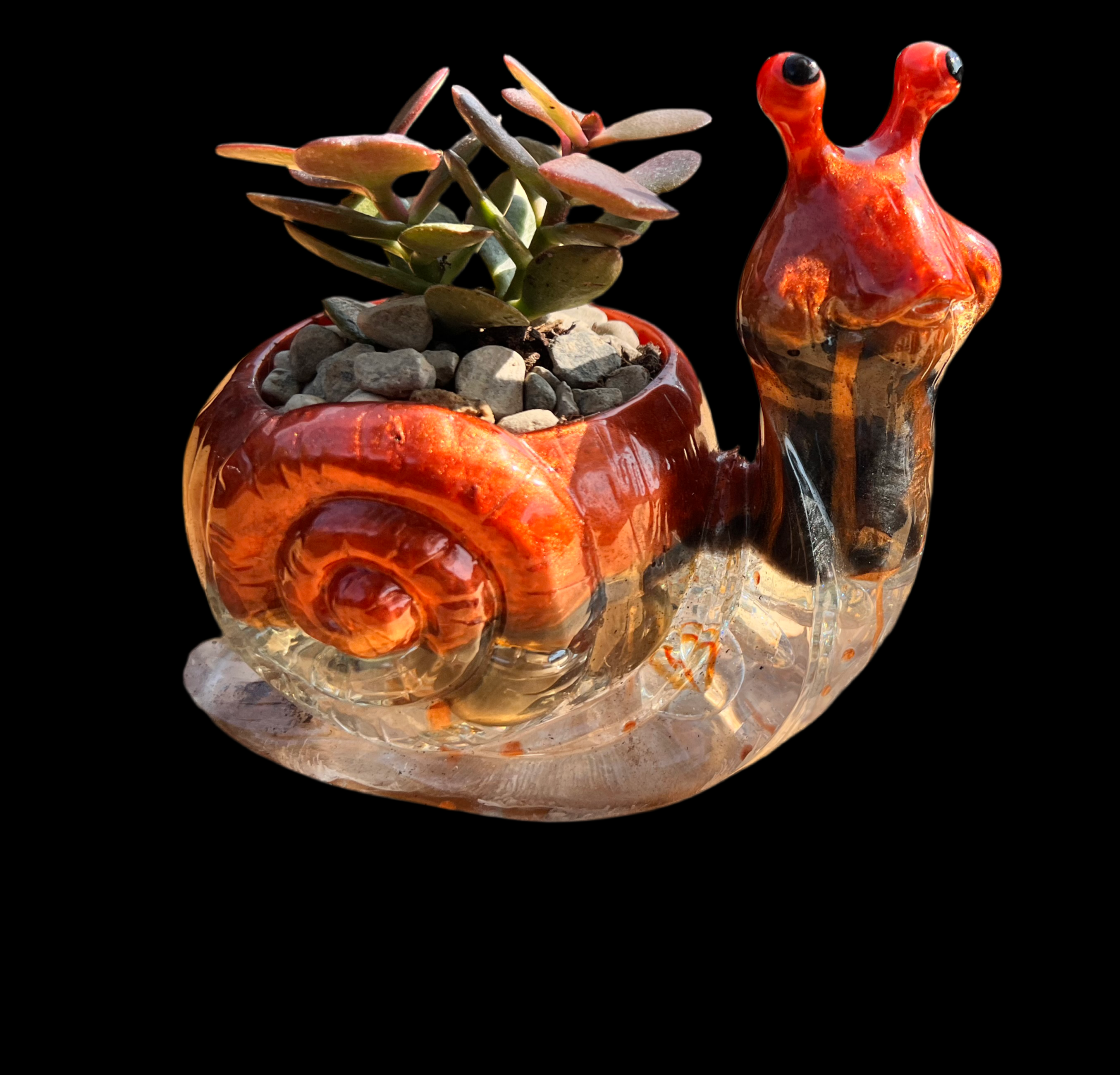 A beautiful resin Snail succulent pot