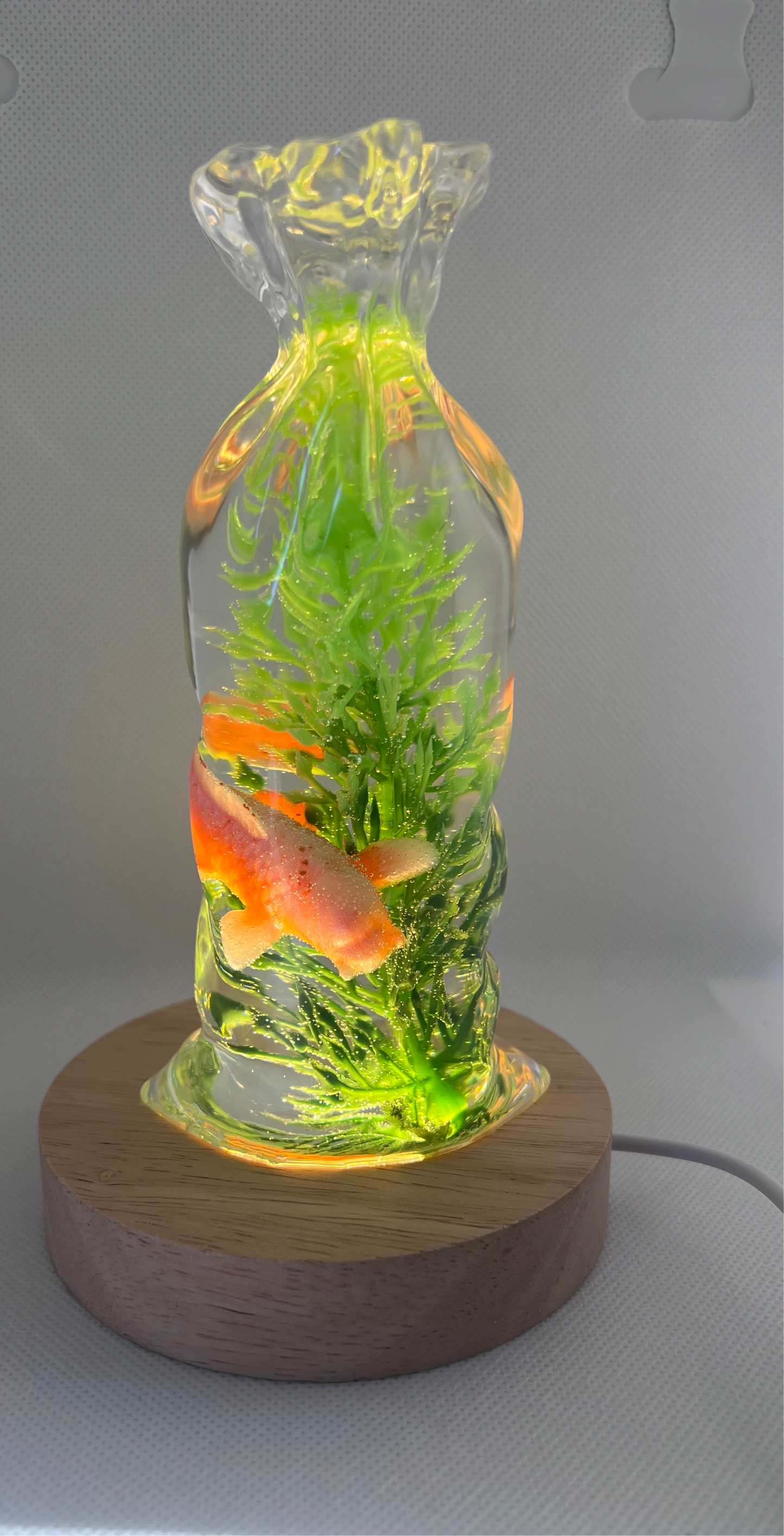 Fish in a bag resin night light