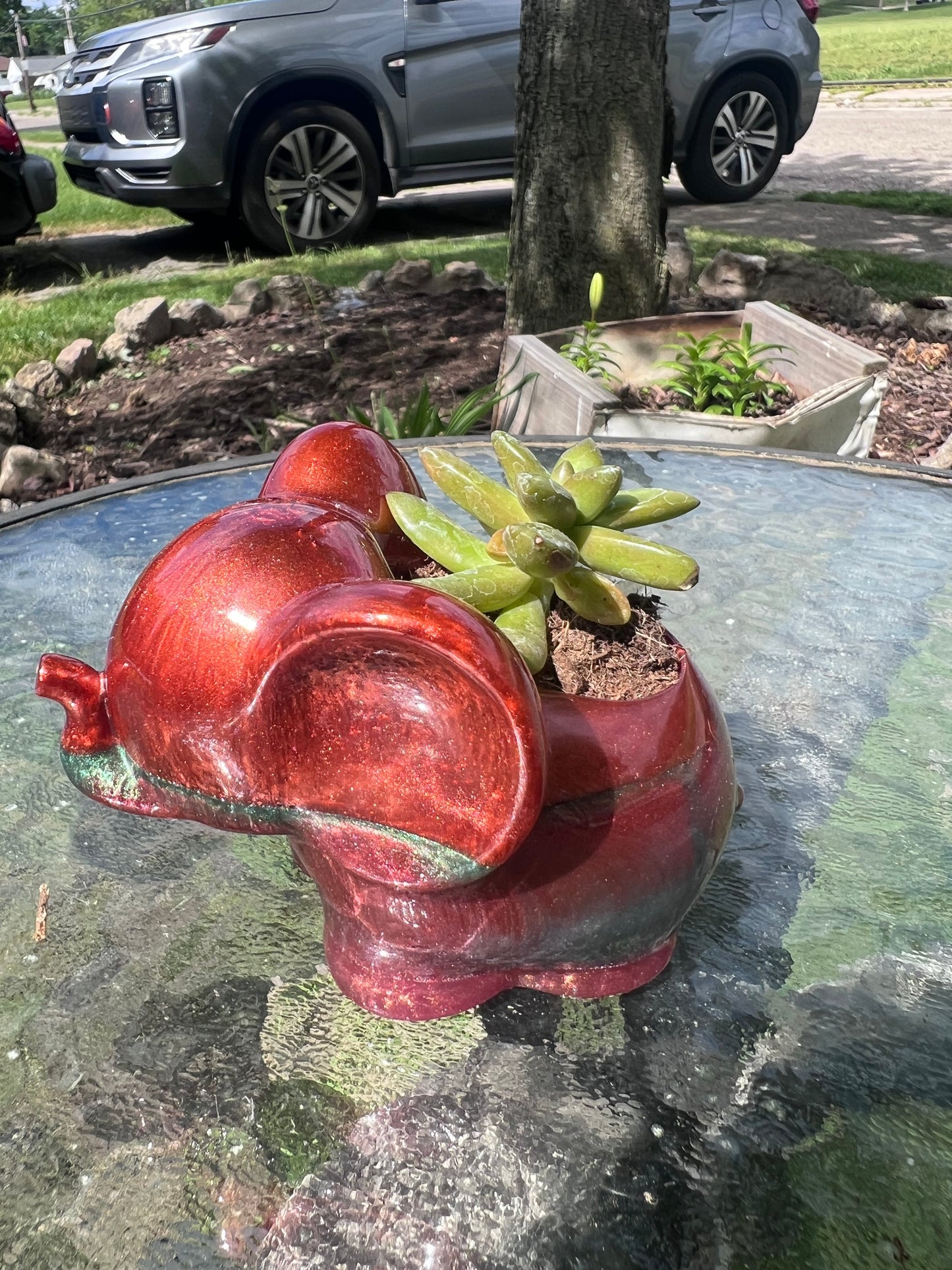 Cute Whimsy Elephant succulent pot