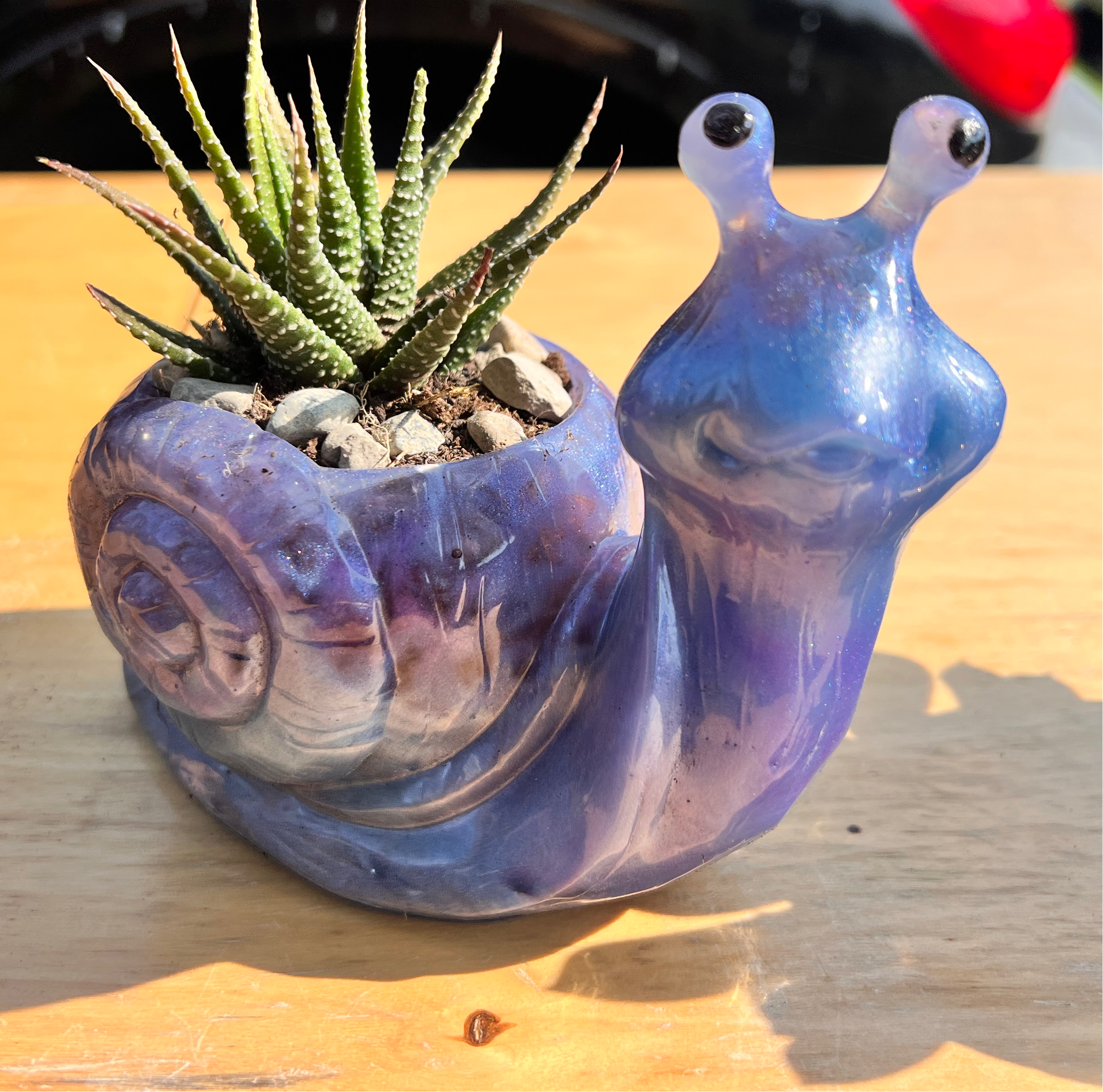 A beautiful resin Snail succulent pot